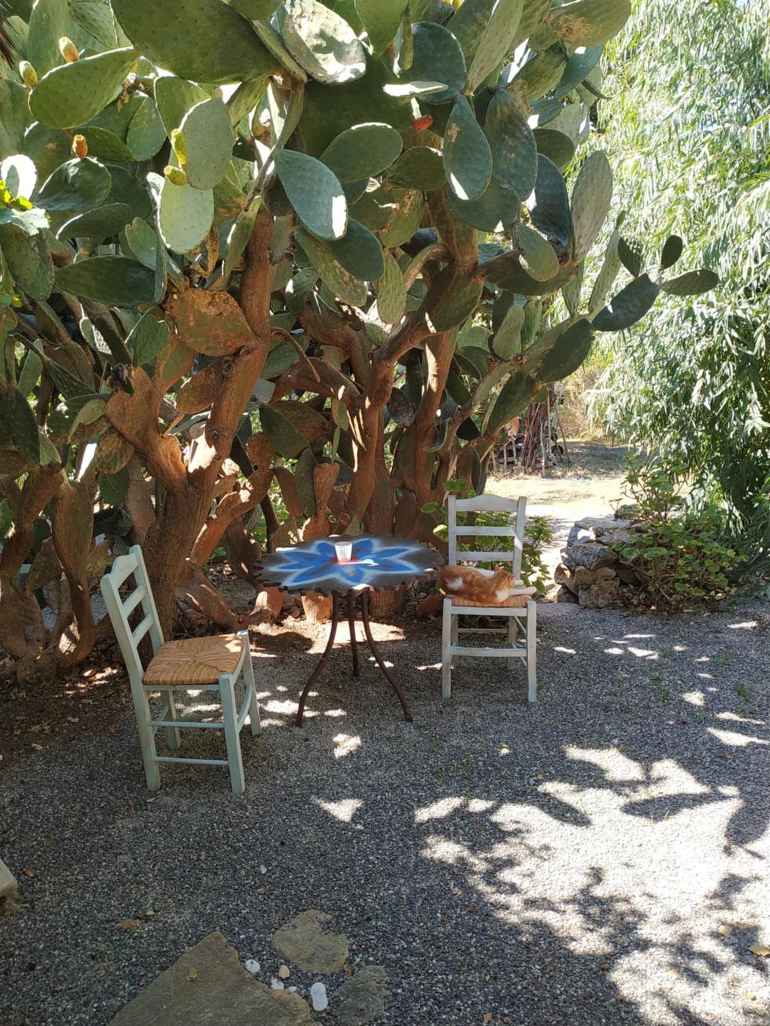 Wellanidia Cottage Skoutari Gythio Buitenkant foto